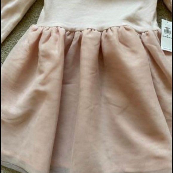 Brand New With Tags ~ 2T Toddler Girls ~ Old Navy Long Sleeve Light Pink Dress - Picture 4 of 6